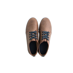 shoe1